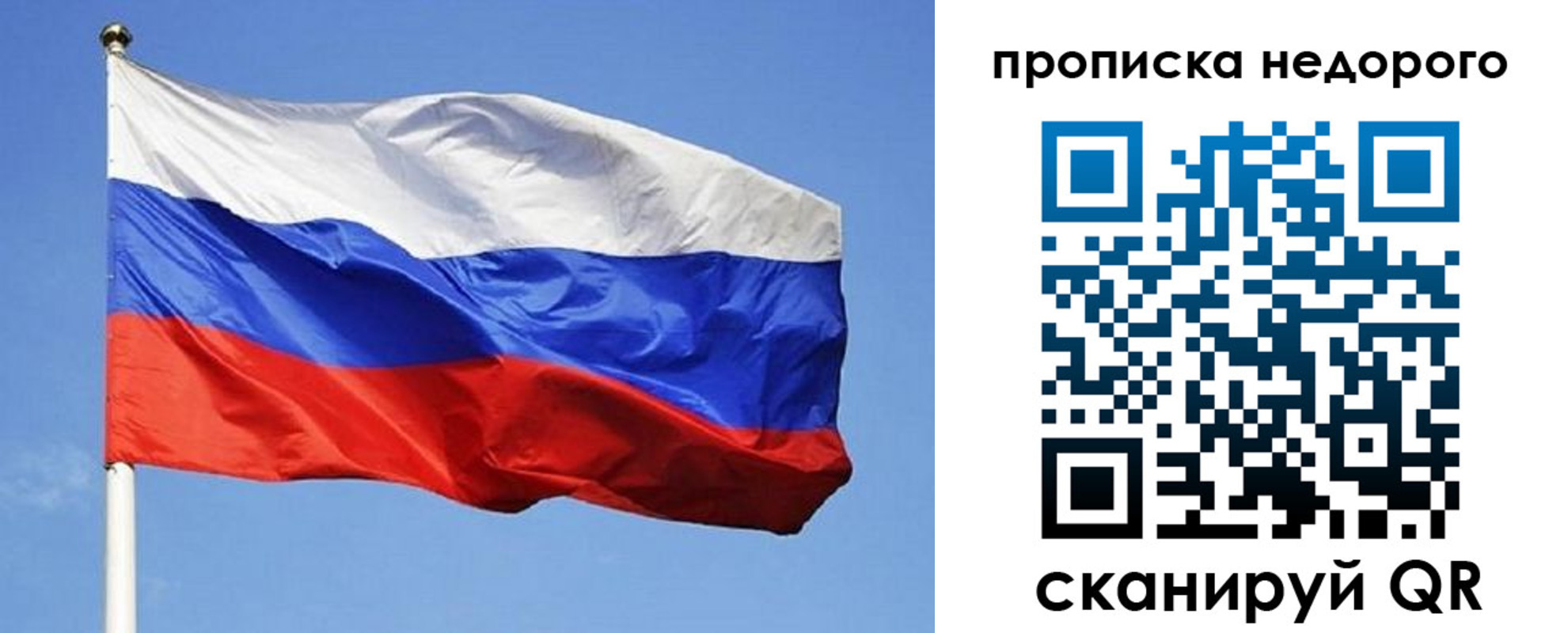 прописка для школы в Гусь-Хрустальном